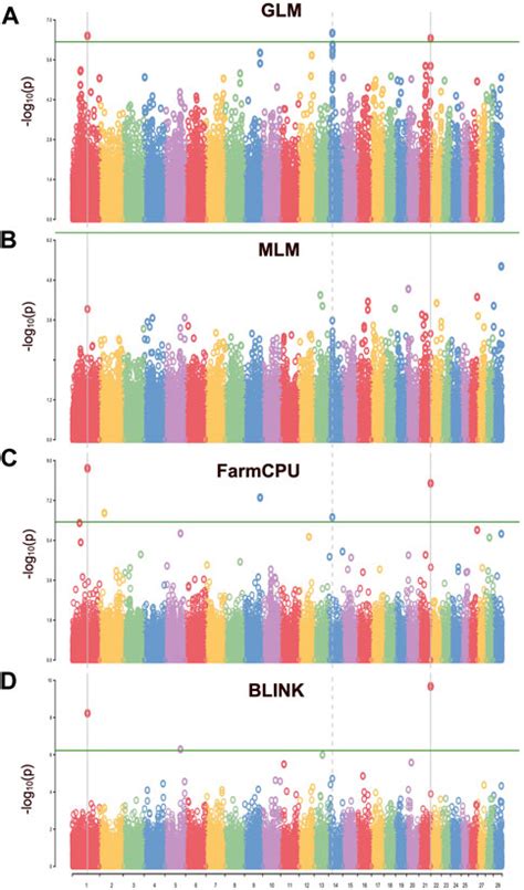 Frontiers Genome Wide Association Study For Carcass Weight In Pasture