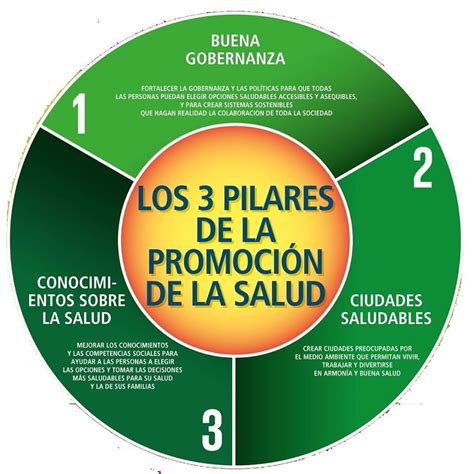 Promocin De La Salud