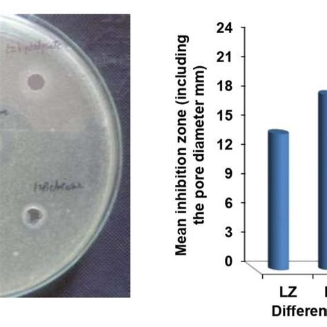 Agar Well Diffusion Assay Of Different Antibacterial Groups 0 5