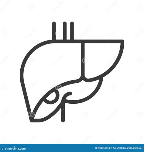 Liver Human Organ Related Outline Vector Icon Stock Vector