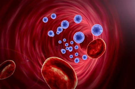 New Artificial Blood Vessel Coating Can Resist Blood Clot Formation