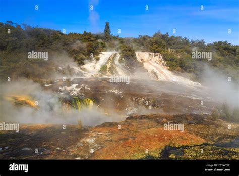 Orakei Korako Geothermal Area New Zealand Steam Rises From Hot Springs And Mineral Terraces