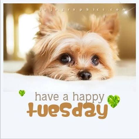 Happy Tuesday!