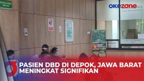 Jumlah Pasien Dbd Di Depok Jawa Barat Meningkat Signifikan Video