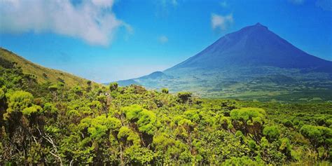 Best things to do in Pico island in the Azores | To Azores Islands