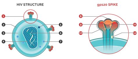 Key HIV Vaccine Topics