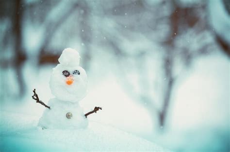 Premium Photo | Snowman in the park in snowy winter