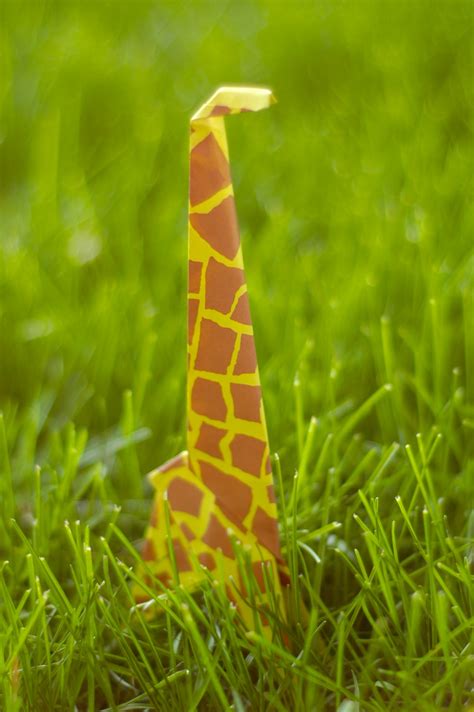 Omiyage Blogs Its A Jungle Out There Animal Origami