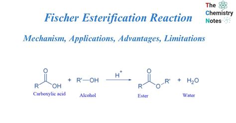 Fischer Esterification Reaction: Mechanism, Limitations 