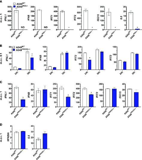 Dna Pkcs Regulates Interferon Related Genes During Zikv Infection A