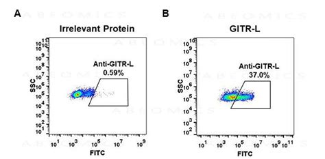 Anti Gitr L Antibodydm52 Rabbit Mab Pd L1 Elisa Kit Dnmt1