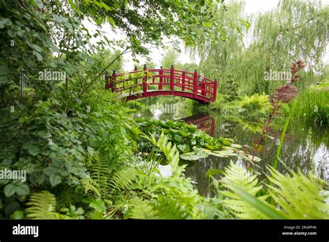 Water Garden With Oriental Bridgepeaceful Garden Stock Photo Alamy