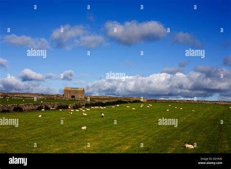 Witton Lane Hi Res Stock Photography And Images Alamy