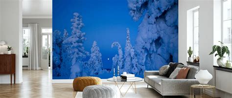 Snow Laden Taiga Woodland Une Décoration Murale Pour Toutes Les