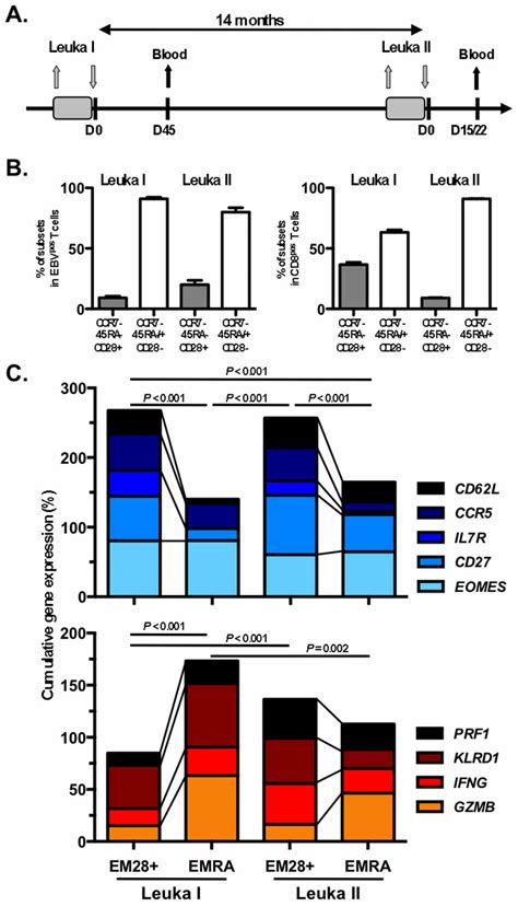 Ex Vivo Gene Expression Profiling Of Single Ebv Antigen Specific Cd8 T Download Scientific