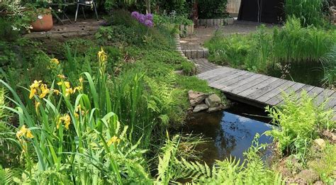 Naturdetektive F R Kinder Naturdetektive De Wasser Im Garten