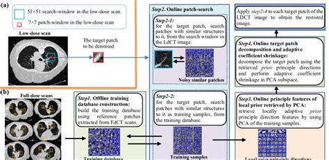 Illustration of the flowchart of the proposed APPDA algorithm. (a ...