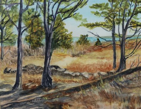 Fort Hill Woods View The Eastham Painters Guild Cape Cod Ma