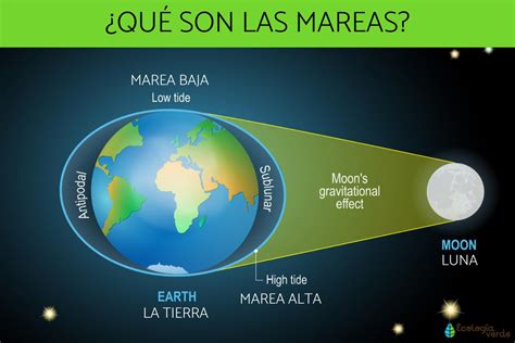 Qué son las mareas y por qué se producen Resumen