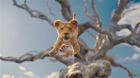 Mufasa Il Re Leone Film Di Barry Jenkins Xtracult