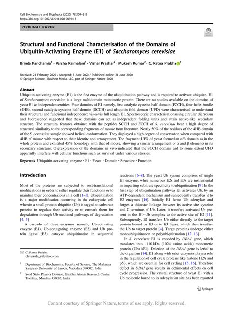 Structural And Functional Characterisation Of The Domains Of Ubiquitin