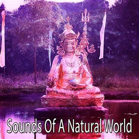 Amazon Music Pro Sounds Effects Library Sounds Of A Natural World