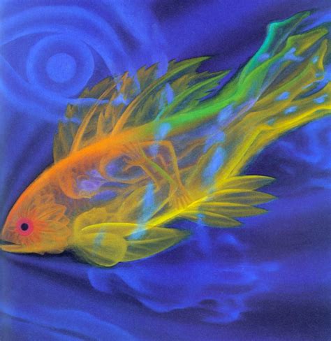 Drewsus • Fer1972 The Magic Fish By Peter Birkhäuser