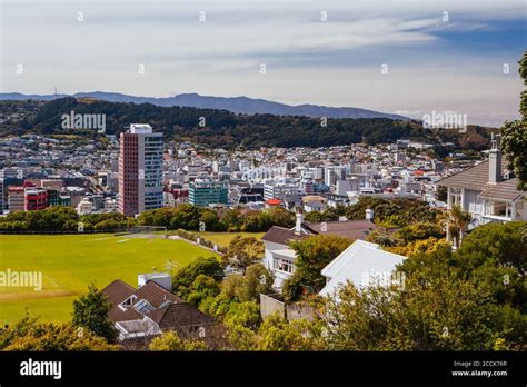 Bay oval new zealand hi-res stock photography and images - Alamy