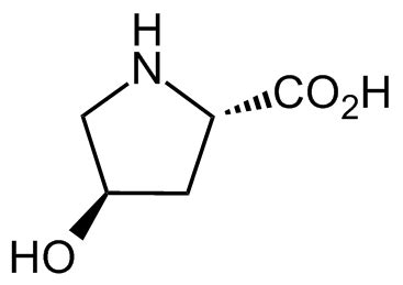 Trans 4 Hydroxy L Proline CAS Number 51 35 4 Order From Chemodex