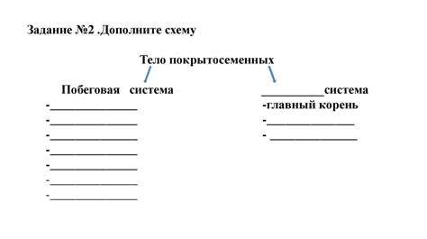Отдел Покрытосеменные (Цветковые) растения, особенности организации и ...