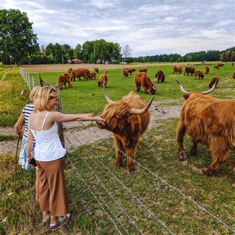 mikrowyprawy z Warszawy в Instagram Andrzejów w Kampinoskim Parku