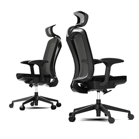 Ultimate Guide To The Best Ergonomic Office Chair Of 2024 Arnolds