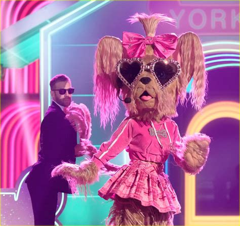 Who Is Yorkie On The Masked Singer Season 13? Clues, Guesses