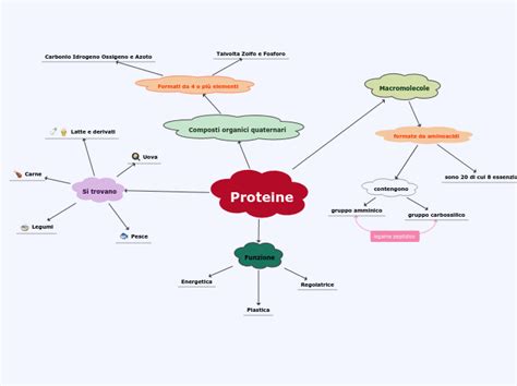 Proteine Mind Map