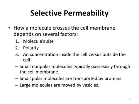 PPT Cell Membrane And Fluid Mosaic Model PowerPoint Presentation