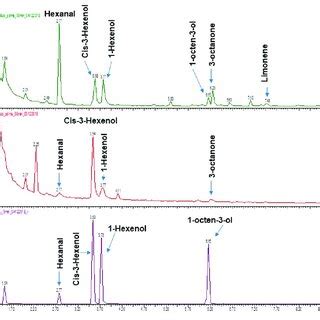 Typical Gc Ms Sim Chromatograms Of The Extract Obtained From The