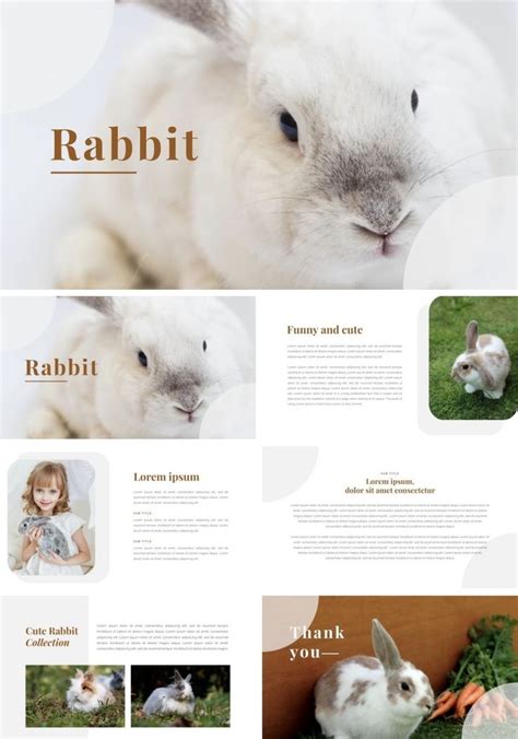 Rabbit Powerpoint Template Simple Cute Free