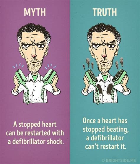 Myth Vs Truth Author Love