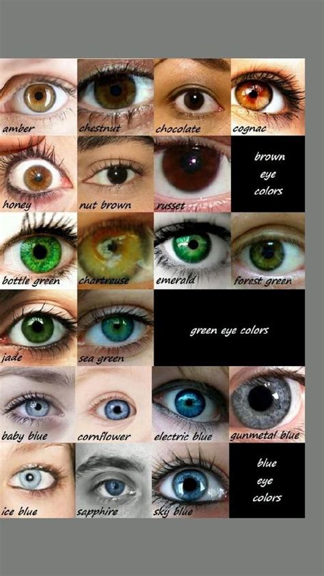 List Of Eye Colours Eye Color Chart Eye Color Rare Eye Colors