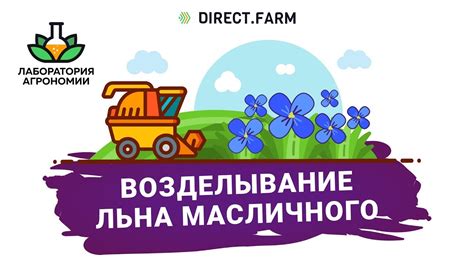 Возделывание льна масличного - YouTube