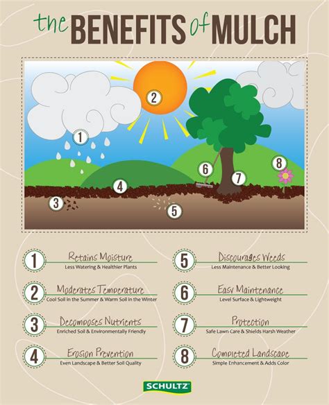 Benefits Of Mulch Infinity Lawn And Garden Mulch Growing Gardens Outdoor Gardens