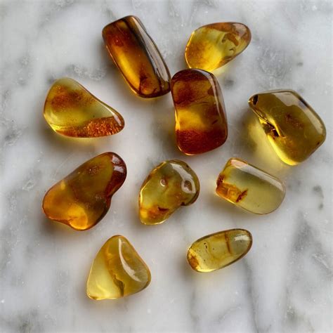 Baltic Amber Tumbled Pocket Stone Minera Emporium Crystal Mineral Shop