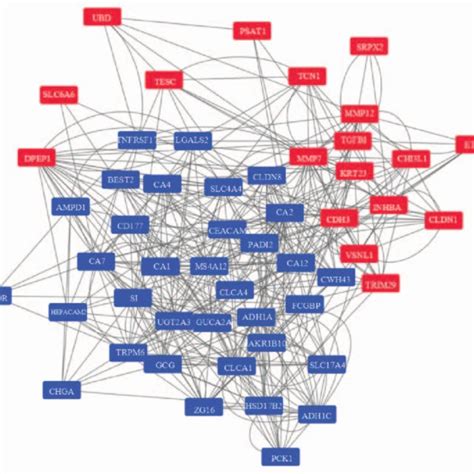 Protein Protein Interaction Network Among The Degs Red Nodes Indicate