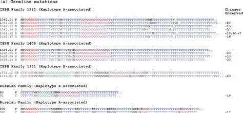 Characterization Of Germline And Somatic Mutations In Telomeres That