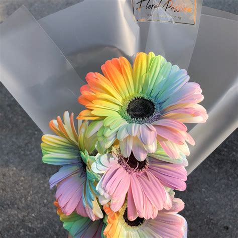 Rainbow Gerbera Daisy Bouquet – Floral Passion SG