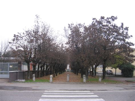 Viale Della Rimembranza Di Mozzate Comune Di Mozzate