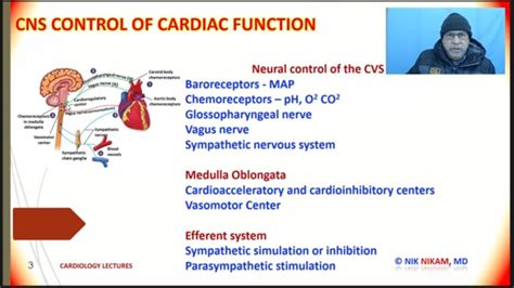 BARORECEPTORS AND CHEMORECEPTORS ON HEART FUNCTION BY NIK NIKAM MD - YouTube