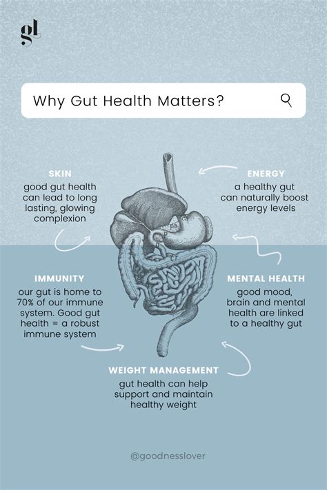 Why Gut Health Matters Gut Health Health Matters Maintain Healthy Weight