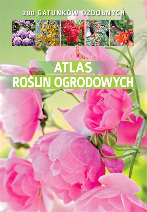 Atlas Ro Lin Agnieszka Gaw Owska Niska Cena Na Allegro Pl