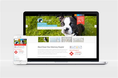 Ocean View Veterinary Hospital Howard Design Group
